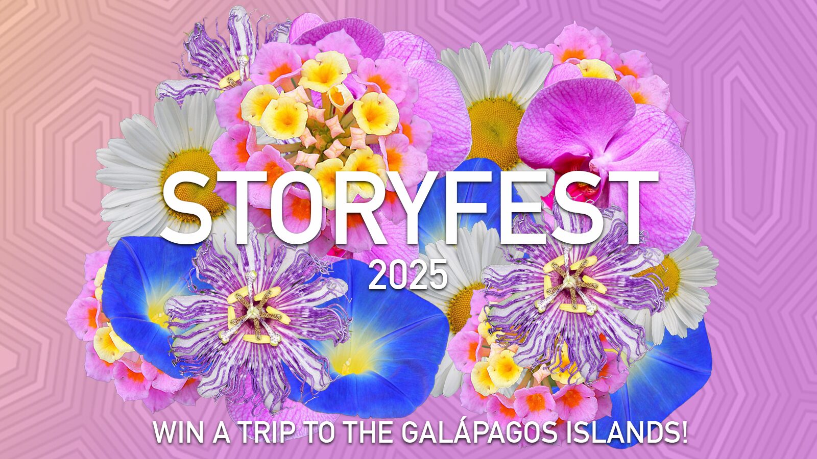 Call For Applications Planet Forward Storyfest Awards 2025 Win A Trip