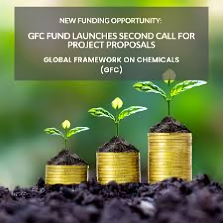 Call For Applications: UNEP Global Chemicals Framework Fund ( Up To USD 800000)