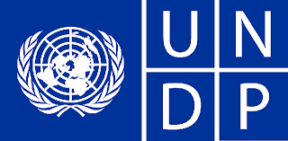 Call for Applications: UNDP Nigeria Call for Youth Tech Solutions on Digital Violence