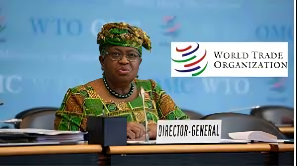 Call For Applications: World Trade Organization (WTO) Internship Programme 2026