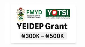 Call for Applications: FG YEIDEP ₦500K Grant 2025 Batch B