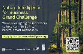 Call for Applications: Nature Intelligence for Business Grand Challenge
