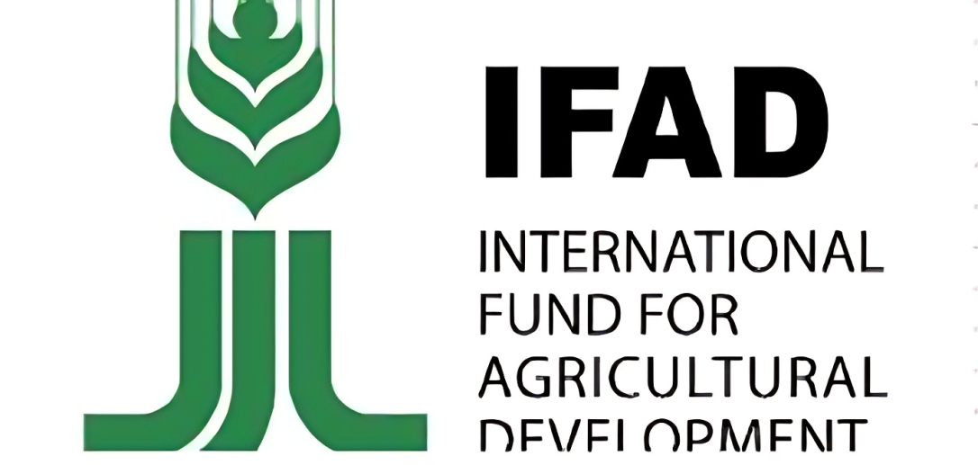 Nigerian Government, IFAD, and NDDC Unveil Agricultural Empowerment Programme for 630 Youths, Women, and Persons with Disabilities
