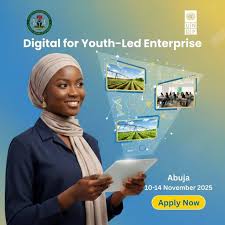 Call for Applications: Digital for Youth-Led Enterprise Programme 2025