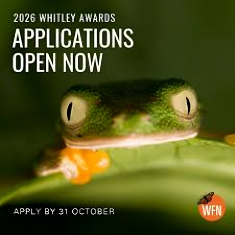Apply for the 2026 Whitley Award