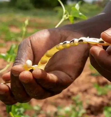 Call for Applications: Annual Seeding The Future Global Food System Challenge ($250,000 Grant for Sustainable Food Innovations)