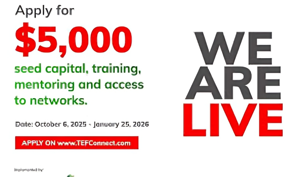 Call for Applications: IYBA WE4A Programme for Women Entrepreneurs in Africa($5,000 Seed Funding, Training, and Mentorship)