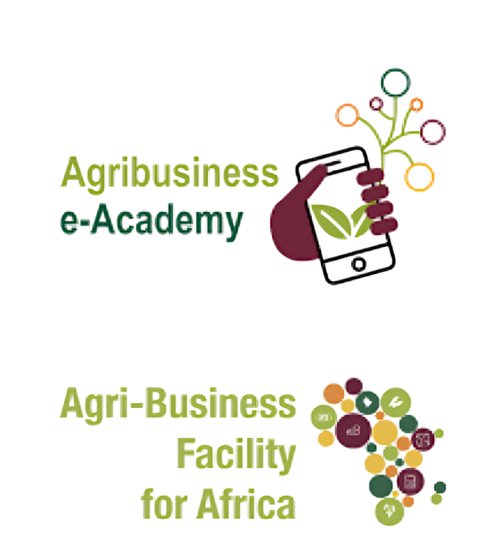 Call for Applications: Agribusiness E-Academy Funding Programme 2025 (Up to €2,000 + Mentorship for Emerging Agripreneur)