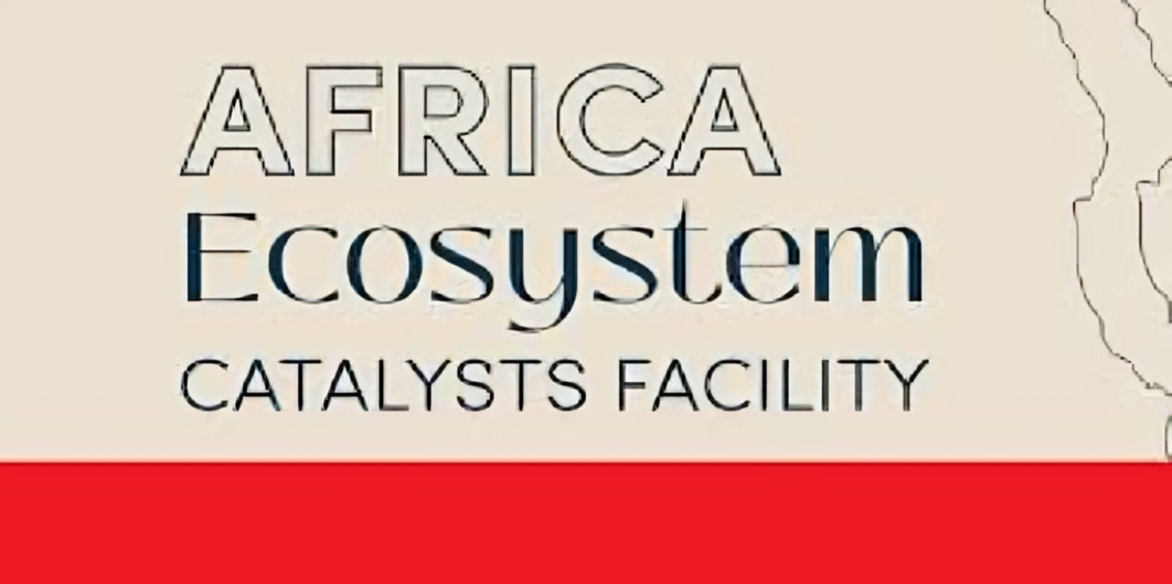Call for Applications: Africa Ecosystem Catalysts Facility 2025  USD 4 million (For Early-Stage Startups in Ghana, Nigeria & Tanzania)