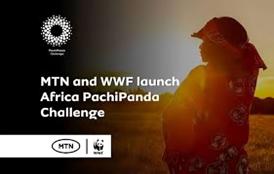 Call for Applications: Nigeria PachiPanda Challenge 2025 for Youth and SMEs (Up to N6 Million Grant prizes)