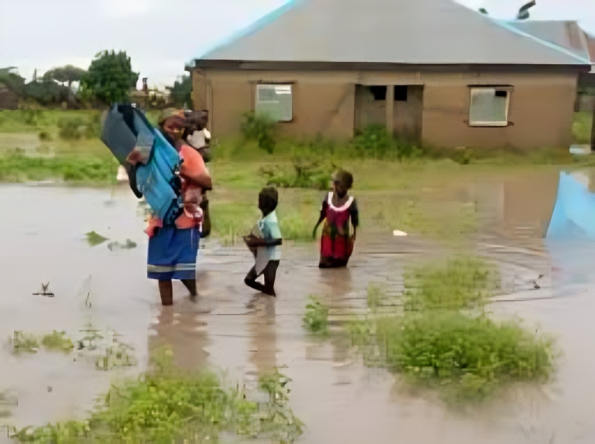 WFP Rolls Out ₦50,000 Cash Aid for 60,000 Vulnerable Families in Flood-Prone Adamawa Communities