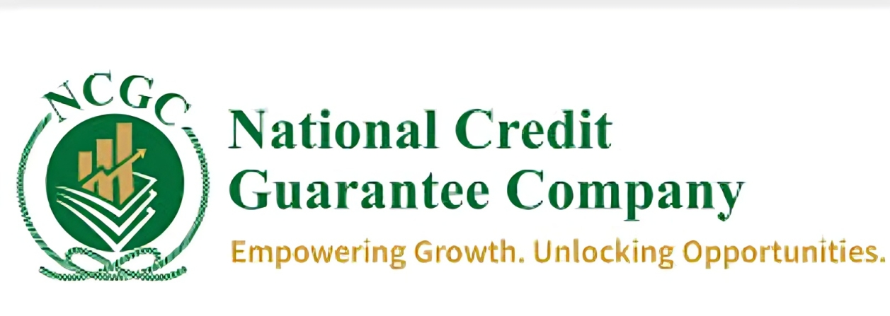 NCGC Introduces ₦170 Billion Credit Guarantee Program to Support Women and Youth-Led MSMEs