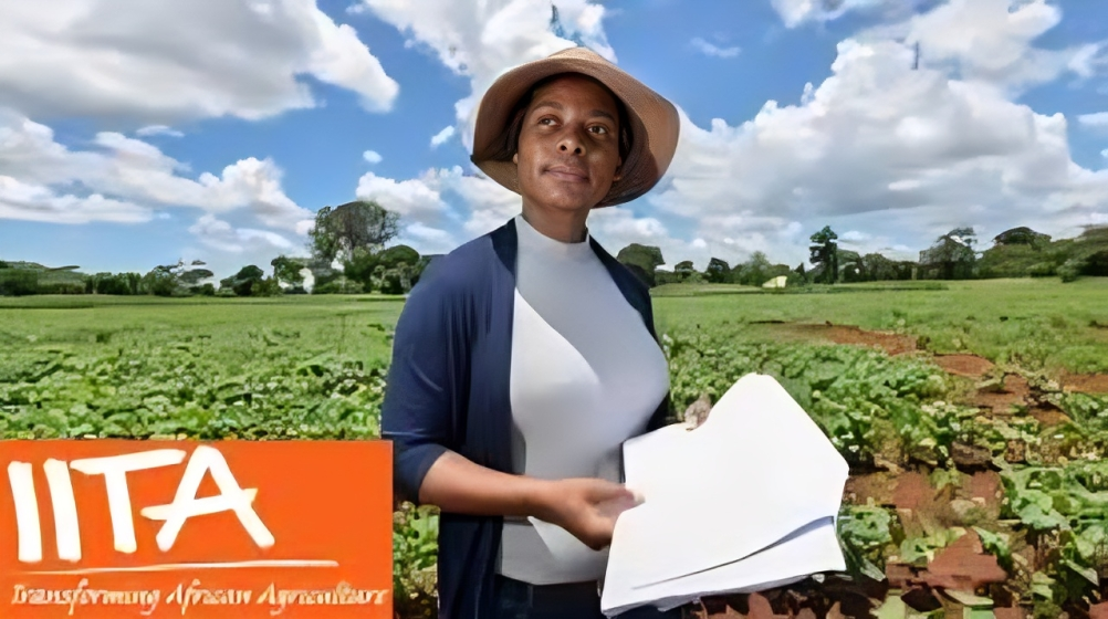 Call For Applications: IITA Youth in Agribusiness Training