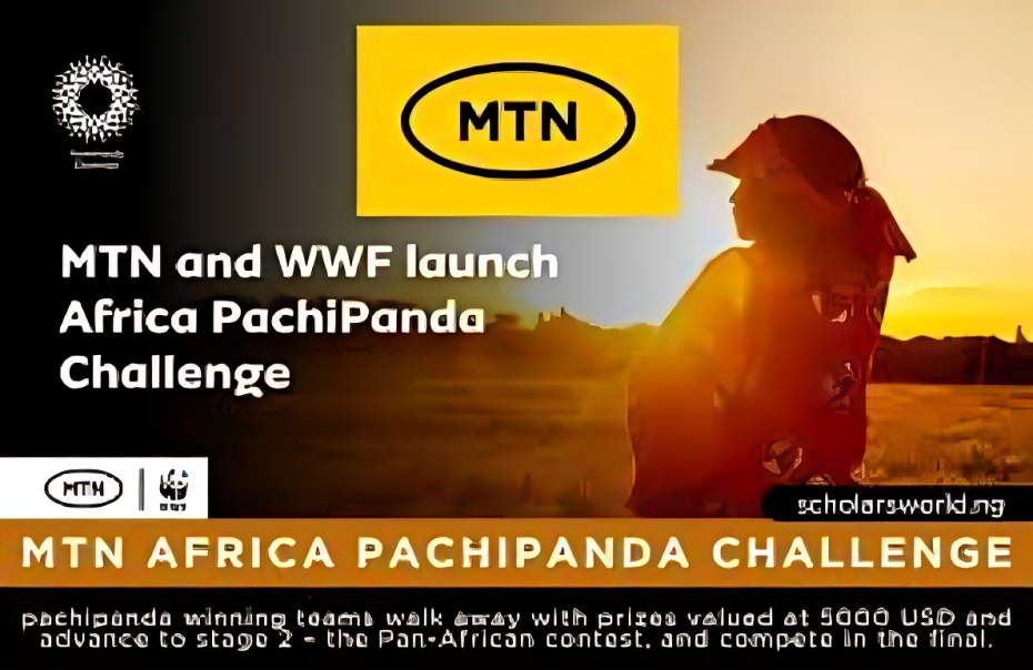 Call For Applications: MTN-WWF Africa PachiPanda Challenge 2025 for youth-led SMEs (Up to 5,000 USD prize)
