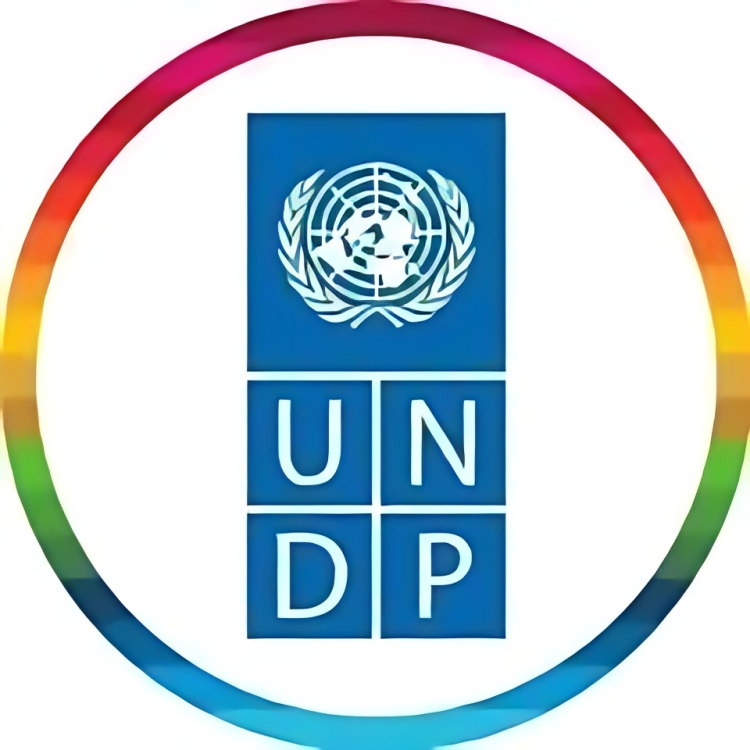UNDP, ITFA Set to Roll Out $50m Certification Fund for Nigerian MSMEs and NGOs