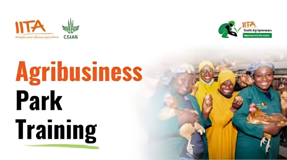 Call For Applications: IITA Youth in Agribusiness Training