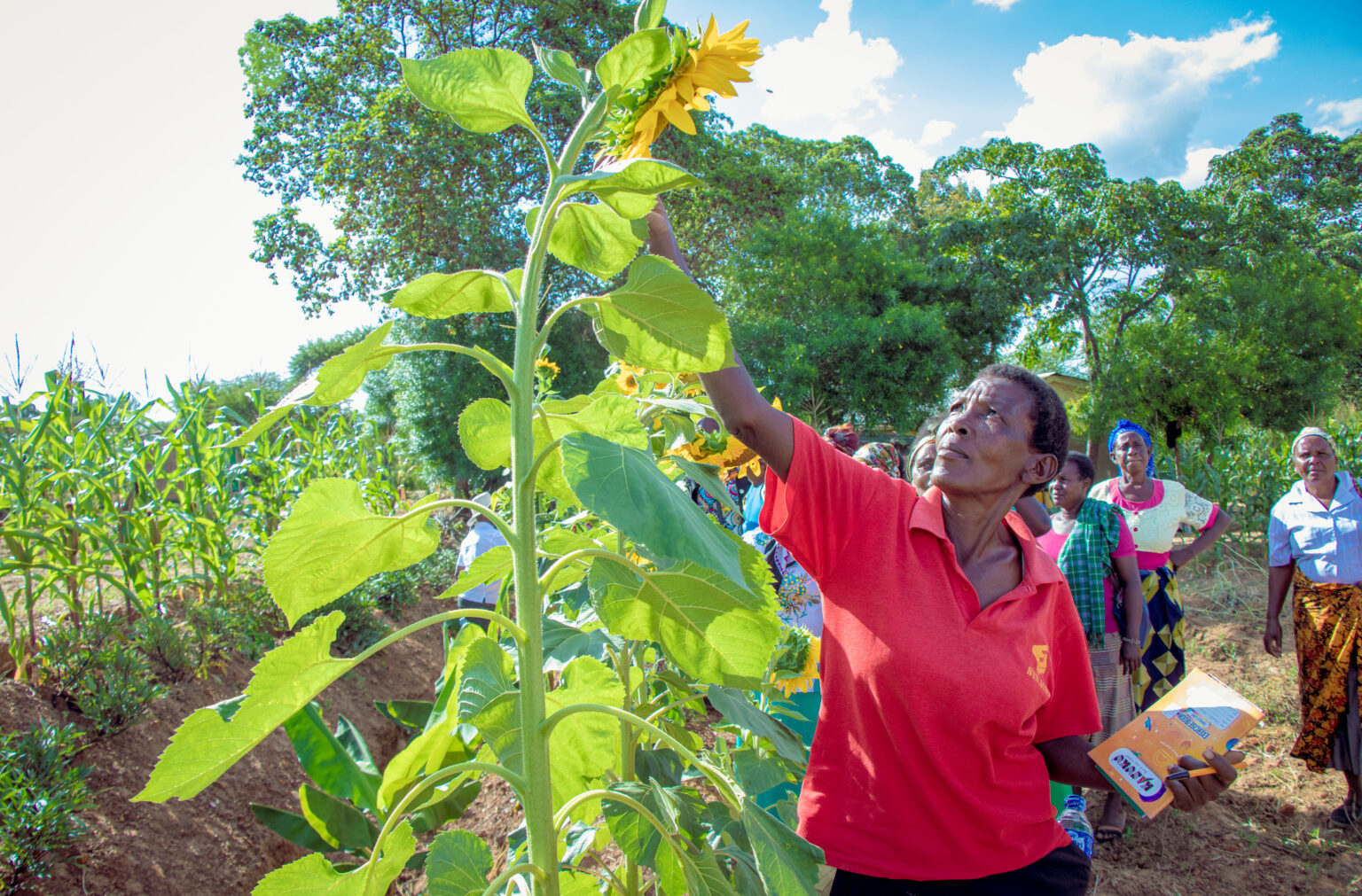 Call For Applications: Resilient Agriculture Innovations for Nature (RAIN) Challenge phase III (cash prize of up to 50,000 USD)