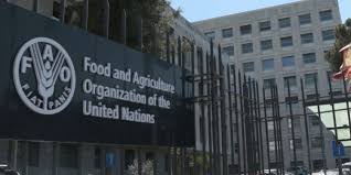 Call For Applications: 2025 FAO Internship Program For Students Worldwide