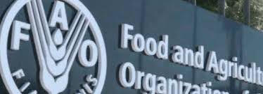 Call For Applications:  FAO Award for Innovation 2026  (Up to USD 10,000 Prize for Agrifood Solutions)