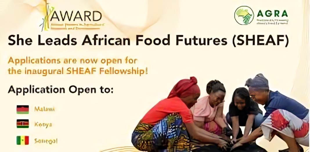 Call For Applications: She Leads African Food Futures (SHEAF) Fellowship 2026 for African Women in Agri-Food