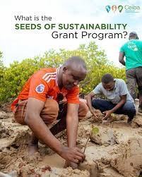 Seeds of Sustainability Grants 2026: Apply for Up to $10,000 in Funding for Community Projects