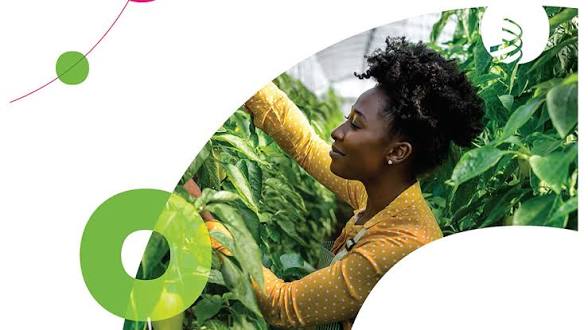 WIPO Women Agripreneurs IP Mentorship Scheme 2026: Free Training and Business Support for Women in Agribusiness