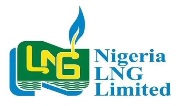 NLNG Disburses ₦250 Million to 51 MSMEs Through VIBES Programme in Rivers State