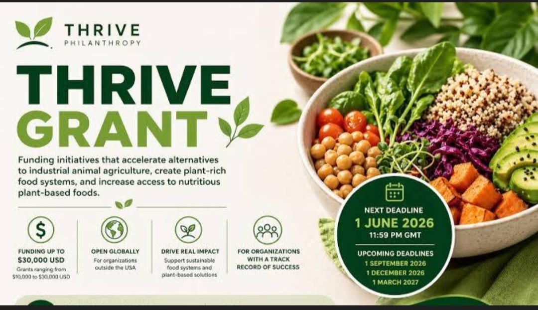 Thrive Grant 2026: Up to $30,000 Funding for Sustainable Food Innovation Now Open