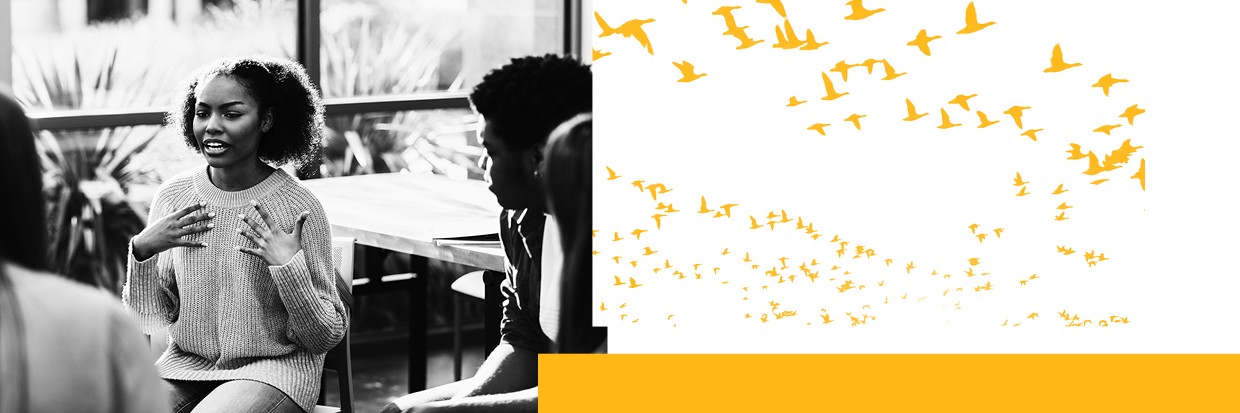 UN Human Rights Fellowship 2026 for People of African Descent: Fully Funded Training in Geneva