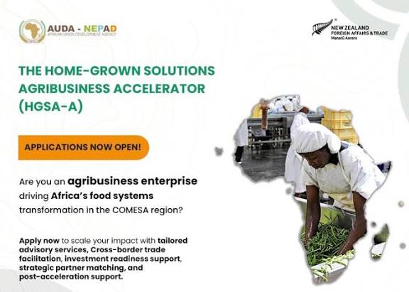 AUDA-NEPAD Opens Applications for 2026 Home Grown Solutions Accelerator for African Startups